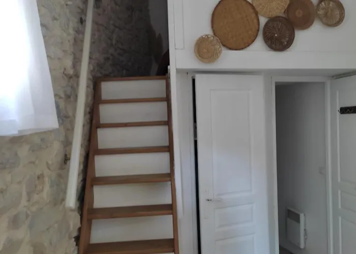 Mazet Independant - De L Acacia * Tavel